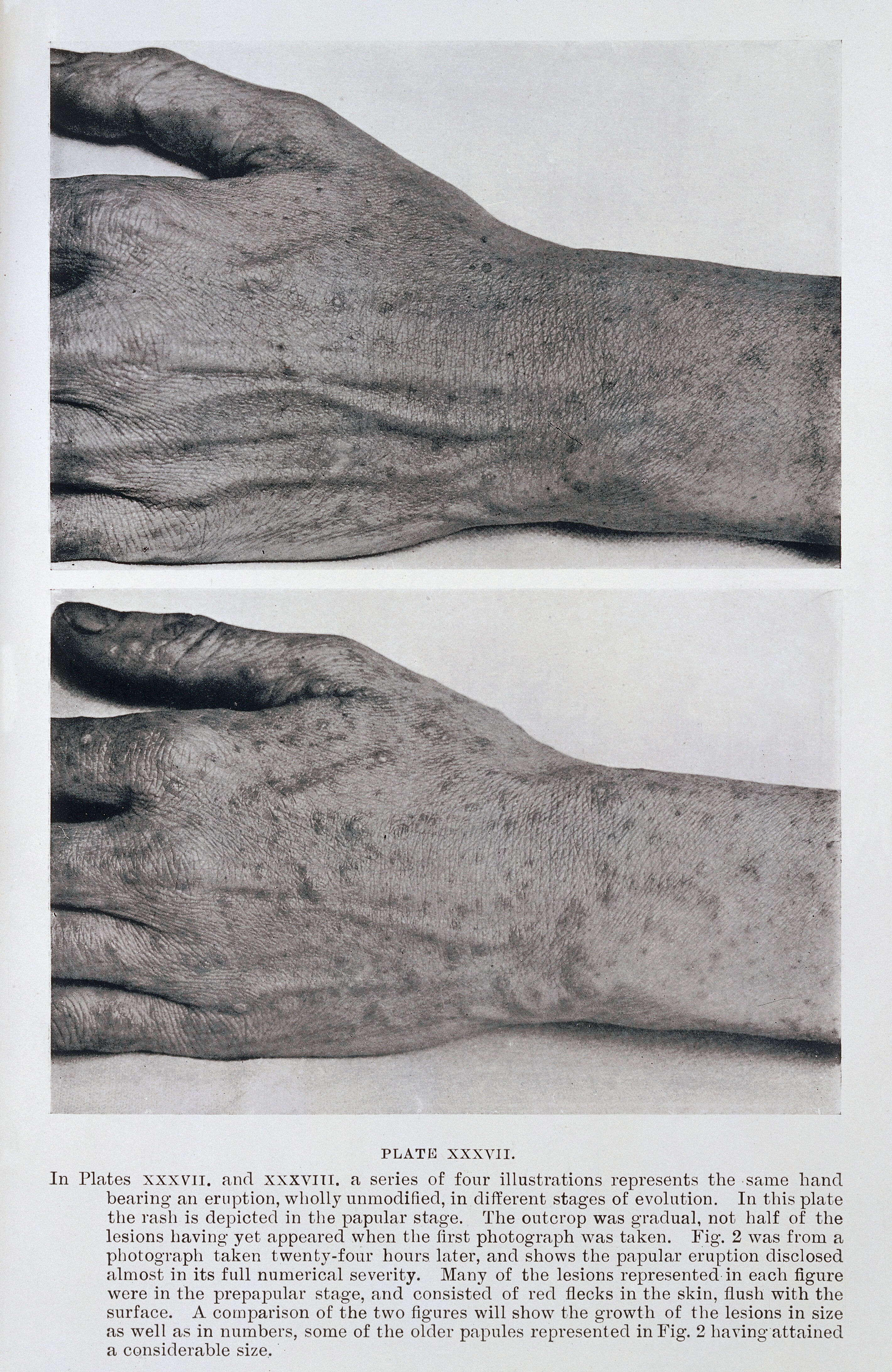 Science & Exploration